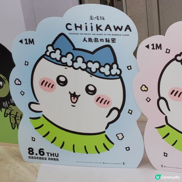 🐰🐇有新野