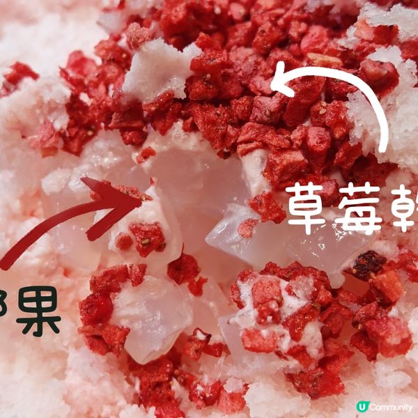 一試就愛上！你哋最想試邊款？🤤