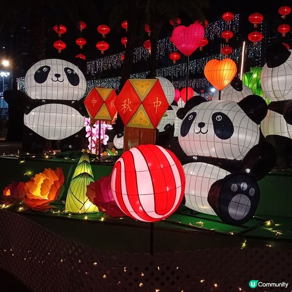 中秋綵燈會亮燈！行吓維園打卡！🤩