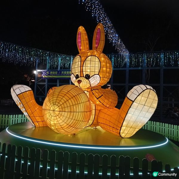 中秋綵燈會亮燈！行吓維園打卡！🤩