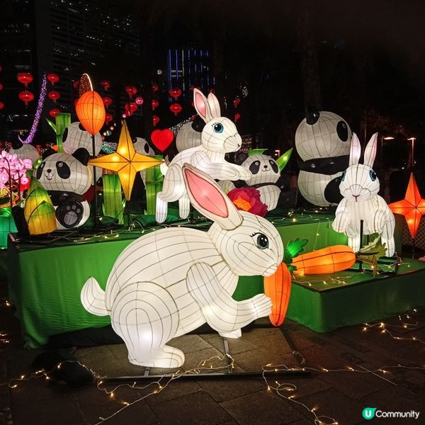 中秋綵燈會亮燈！行吓維園打卡！🤩