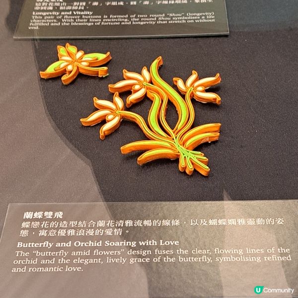 華裳雅韻展！旗袍靚到暈！✨