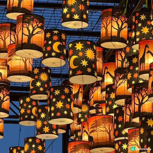  香港中秋花燈之旅：光影流轉的浪漫打卡好去處🏮✨