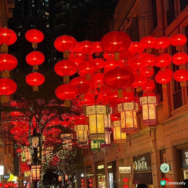  香港中秋花燈之旅：光影流轉的浪漫打卡好去處🏮✨