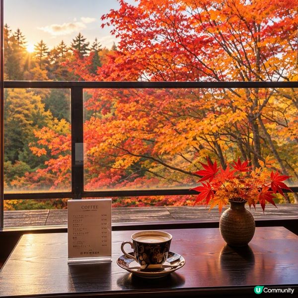 長野紅葉絕景秘湯🍁