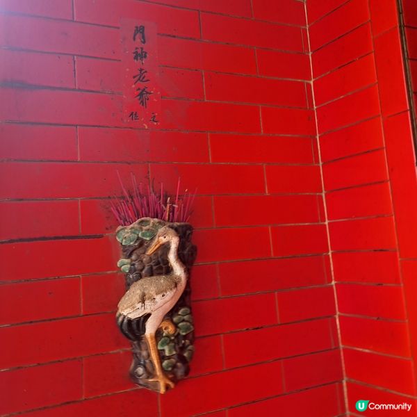 深度遊青衣尋寶藏探古廟!🧭