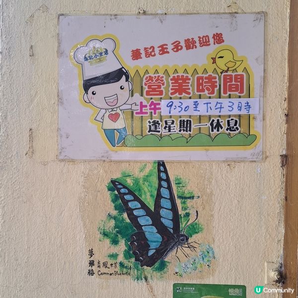 深度遊青衣尋寶藏探古廟!🧭