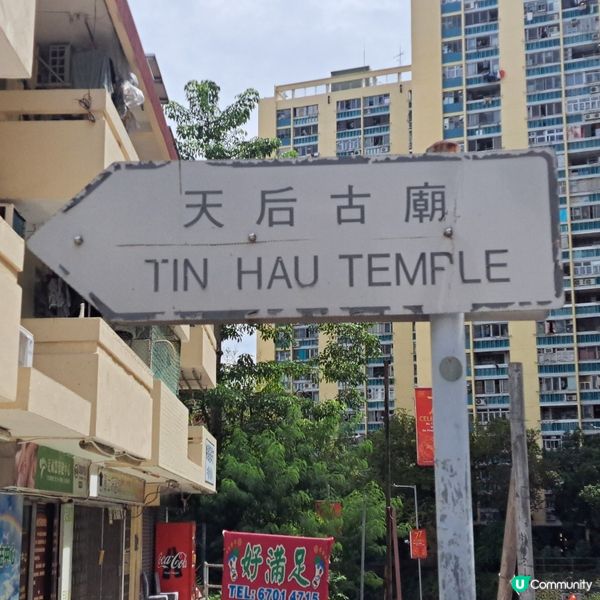 深度遊青衣尋寶藏探古廟!🧭