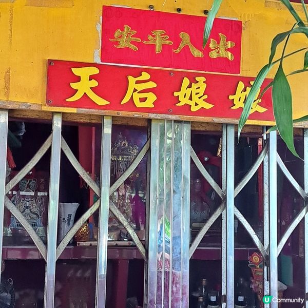 深度遊青衣尋寶藏探古廟!🧭