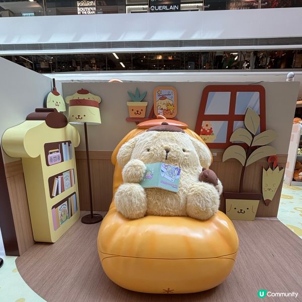 香港/布甸狗30周年展覽限定開放🐶