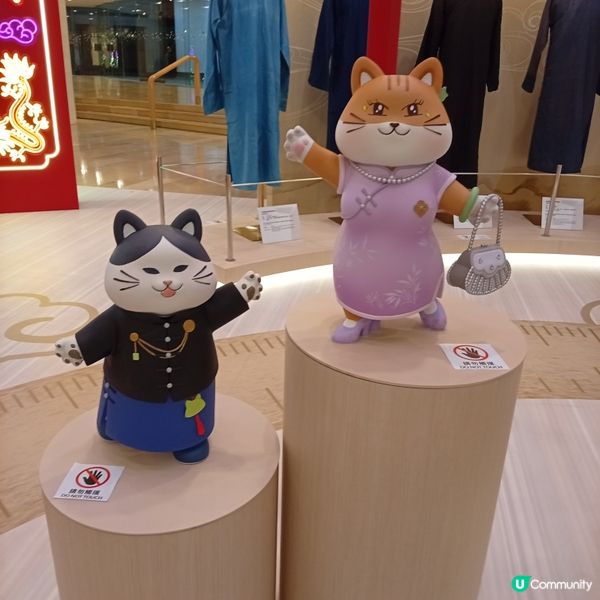 中式長衫華裳雅韻展-太古廣場✨