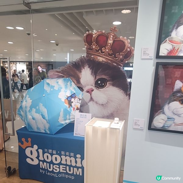 今日主角「托腮貓」🐈‍⬛