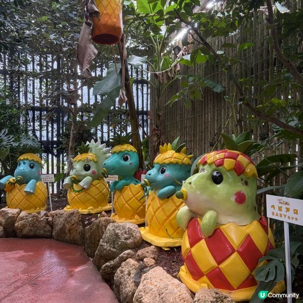 【主題樂園】名護鳳梨園恐龍出沒