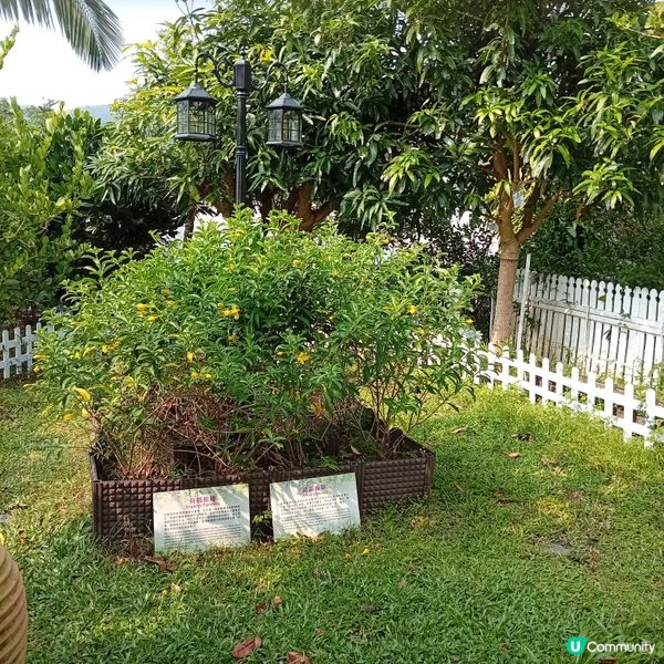 重陽唔駛北上！親子遊推介🏝️