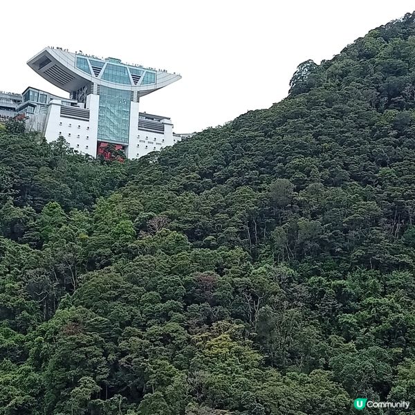 重陽登高賞維港和拍攝絶景！📸