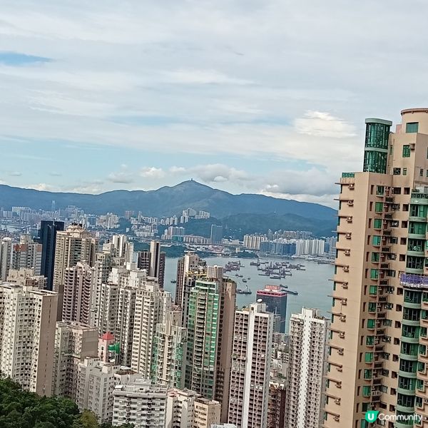 重陽登高賞維港和拍攝絶景！📸