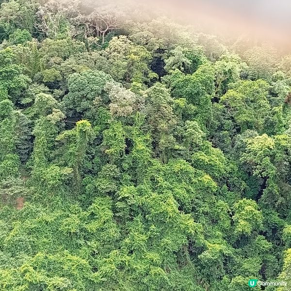 重陽登高賞維港和拍攝絶景！📸