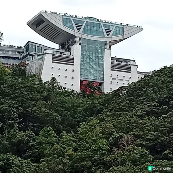 重陽登高賞維港和拍攝絶景！📸