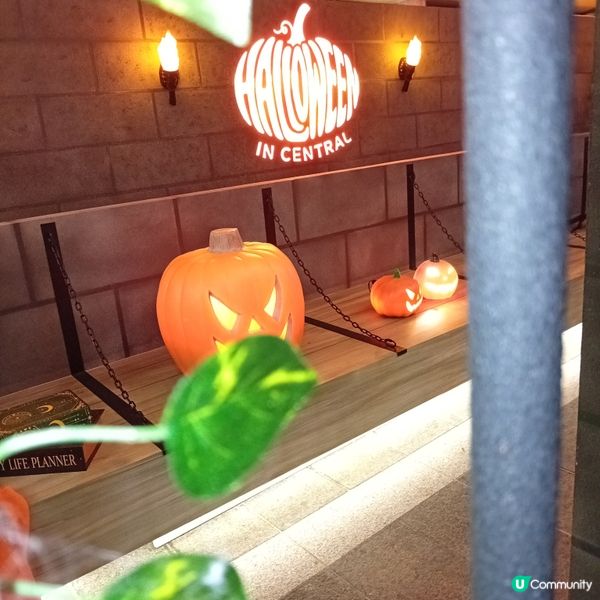 皇后像廣場化身萬聖節打卡熱點👻