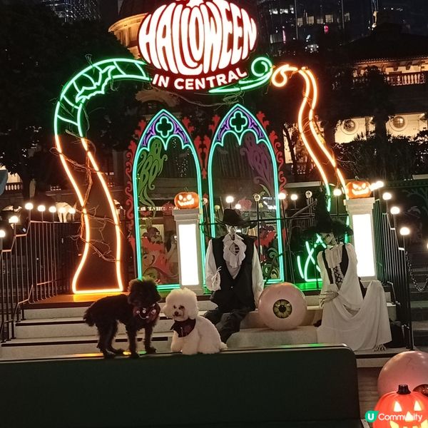 皇后像廣場化身萬聖節打卡熱點👻