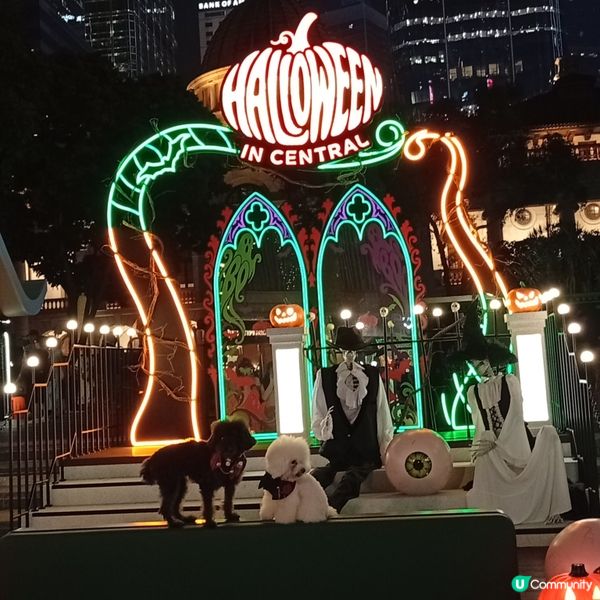 皇后像廣場化身萬聖節打卡熱點👻