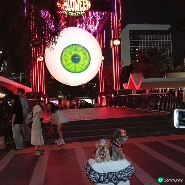皇后像廣場化身萬聖節打卡熱點👻