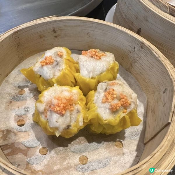 抵食又好味嘅譚氏雞煲+點心火鍋放題🥰