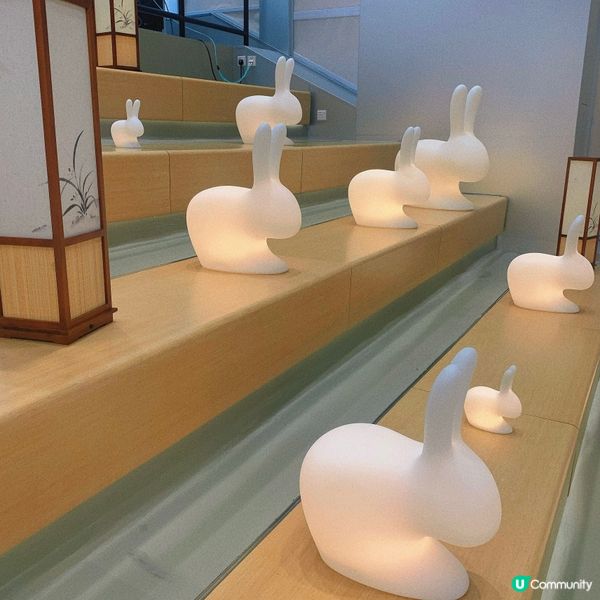 深水埗｜打卡沈浸式喵展🐈