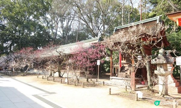 可愛動物御神籤、追星必去車折神社，還有…？京都8家必去特色寺廟與神社