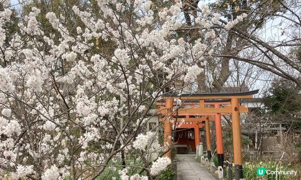 可愛動物御神籤、追星必去車折神社，還有…？京都8家必去特色寺廟與神社
