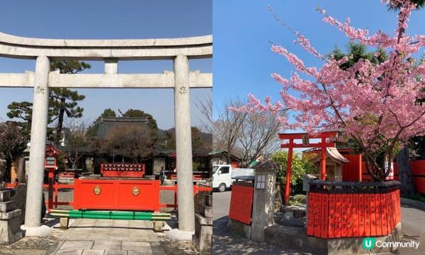 可愛動物御神籤、追星必去車折神社，還有…？京都8家必去特色寺廟與神社