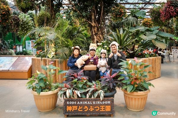 神戶動物王國：親近自然與動物的夢幻互動樂園