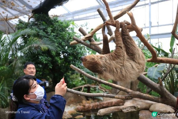 神戶動物王國：親近自然與動物的夢幻互動樂園