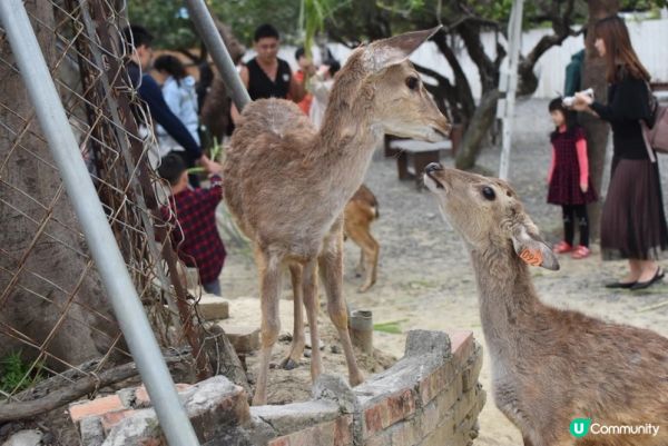 【2024墾丁景點】必去行程、享受超Chill度假