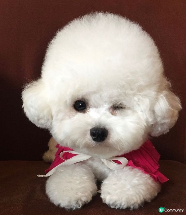 Superman單眼絕技冧死人  