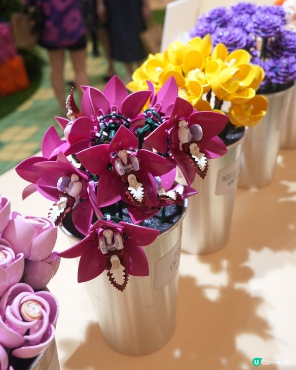 走進LEGO® Botanical Garden的花花宇宙