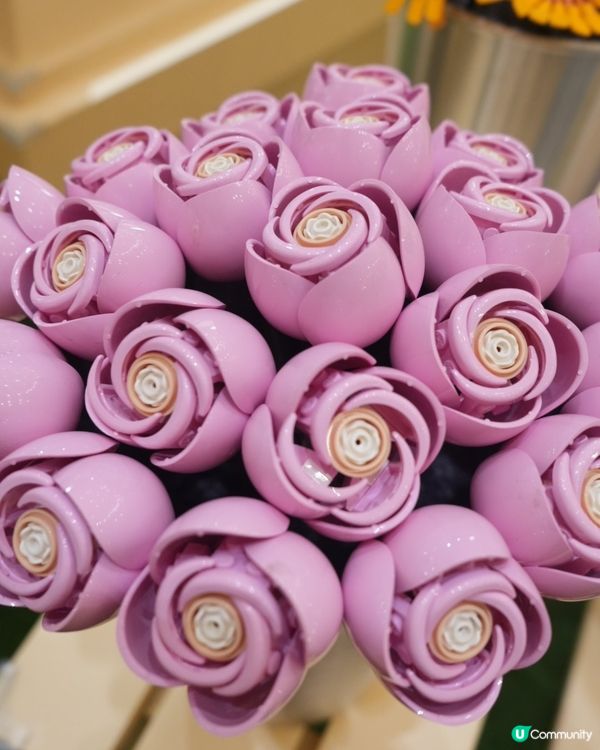 走進LEGO® Botanical Garden的花花宇宙