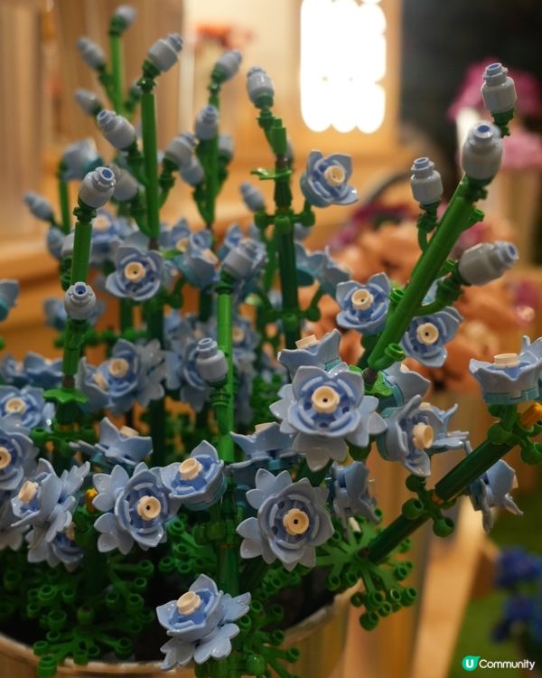 走進LEGO® Botanical Garden的花花宇宙