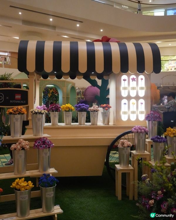走進LEGO® Botanical Garden的花花宇宙