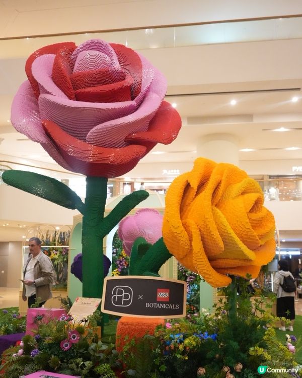 走進LEGO® Botanical Garden的花花宇宙