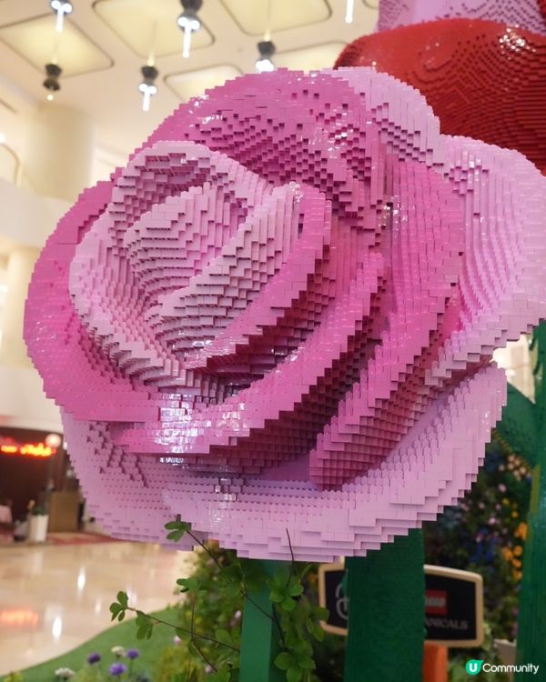 走進LEGO® Botanical Garden的花花宇宙