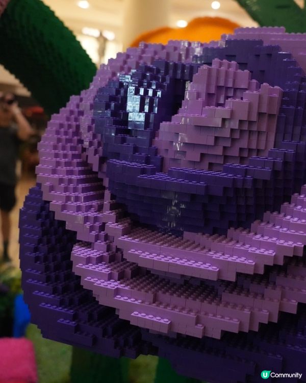 走進LEGO® Botanical Garden的花花宇宙