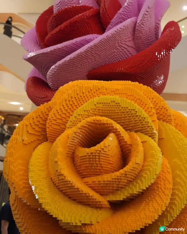 走進LEGO® Botanical Garden的花花宇宙