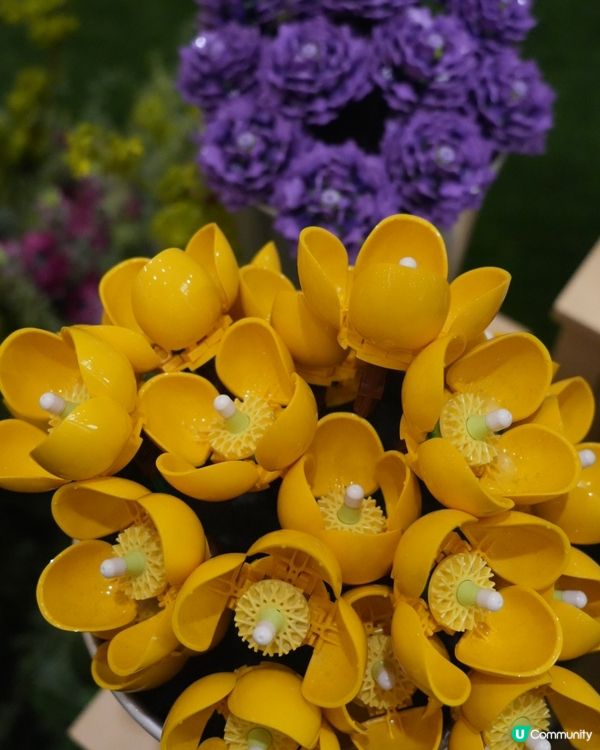 走進LEGO® Botanical Garden的花花宇宙