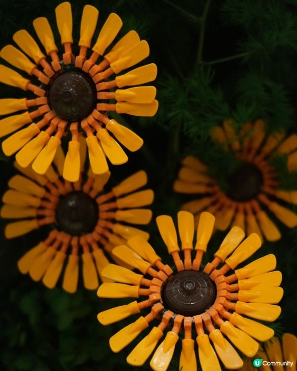 走進LEGO® Botanical Garden的花花宇宙