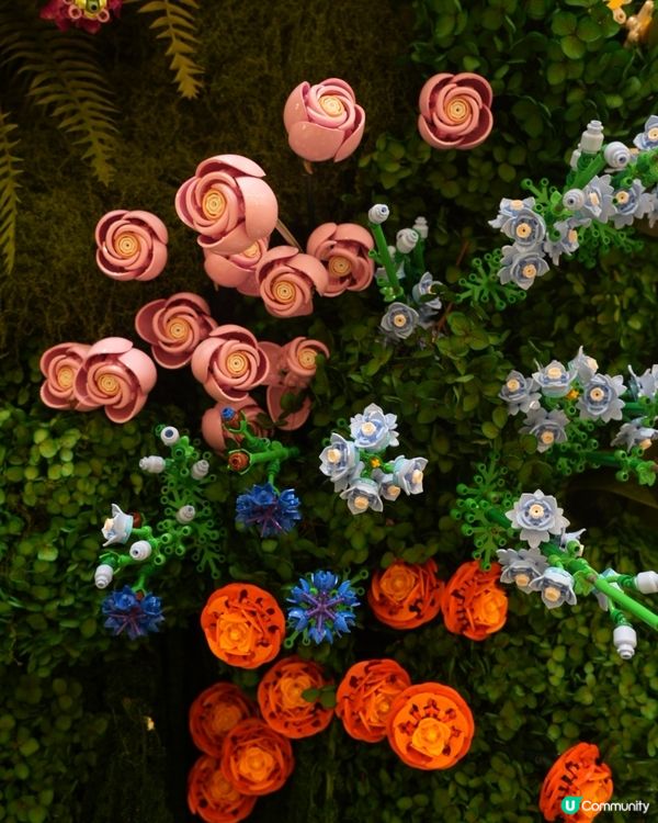 走進LEGO® Botanical Garden的花花宇宙