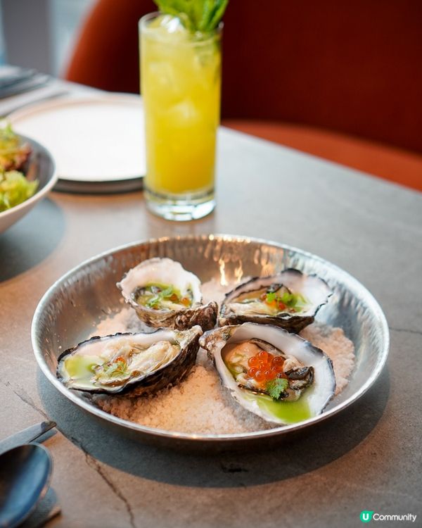 慶祝必去🥂餐廳食物環境一流！🤩