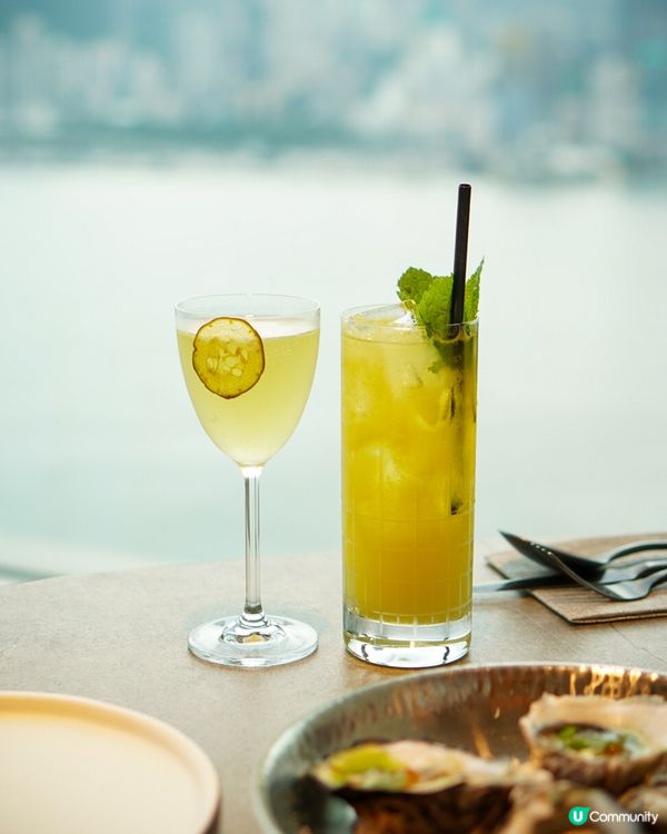 慶祝必去🥂餐廳食物環境一流！🤩