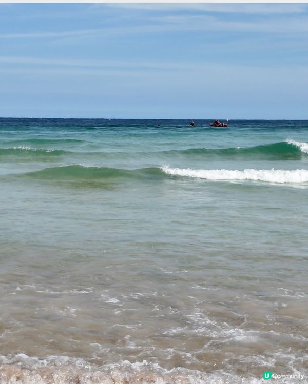 悉尼｜夏日必去！陽光、滑浪、清澈海水🌊☀️