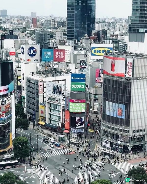 🇯🇵玩轉東京涉谷超詳盡攻略 🗼✨